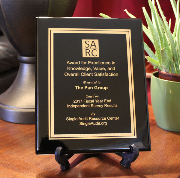 The Pun Group Awarded SARC Award For Excellence