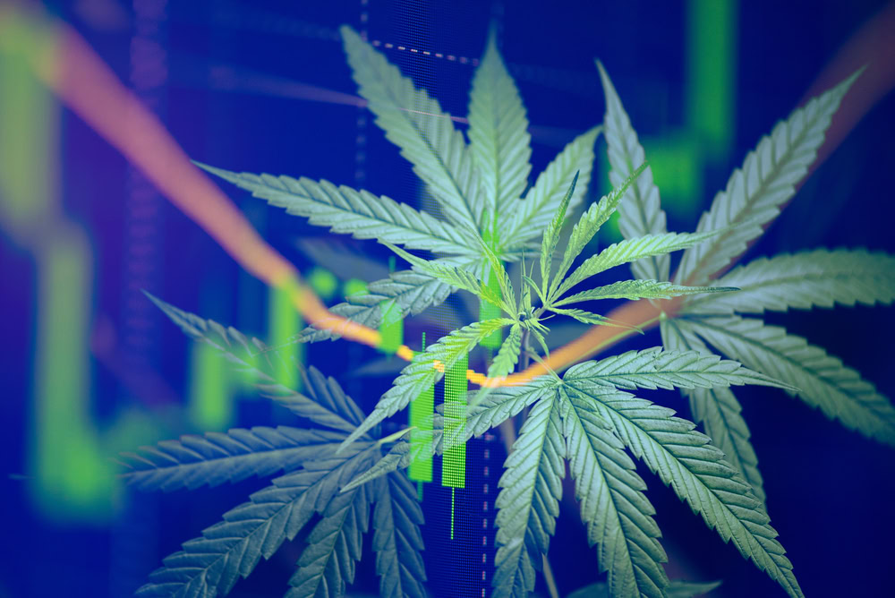 Cybersecurity threats in the cannabis industry